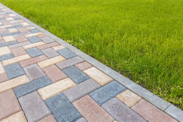 Best Custom Driveway Pavers  in Century, FL